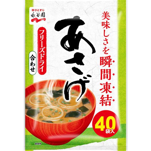 Nagatanien Asage 超值味噌湯，粉末型，使用冷凍乾燥味噌（混合），40 份，1 袋