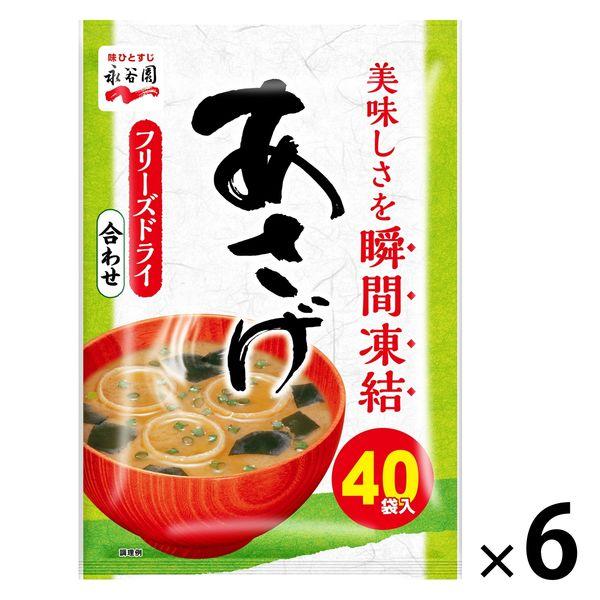 Nagatanien Asage 超值味噌湯，粉末型，使用冷凍乾燥味噌（混合），40 份，1 套（6 袋）