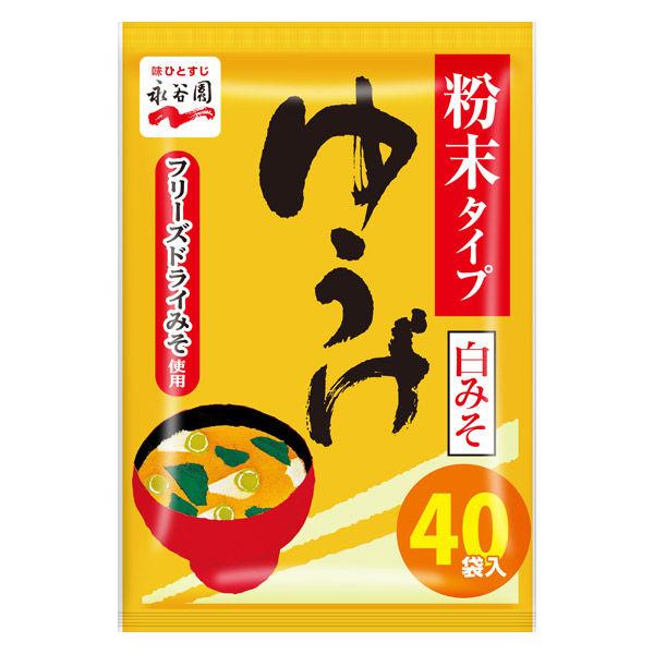味噌湯 Nagatanien Powder Yuuge Value 白味噌 40 份 1 袋