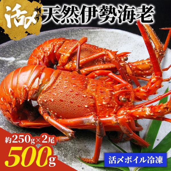 King Macadamian JAPAN 天然龍蝦活煮冷凍 IE91120 1 件（直送）