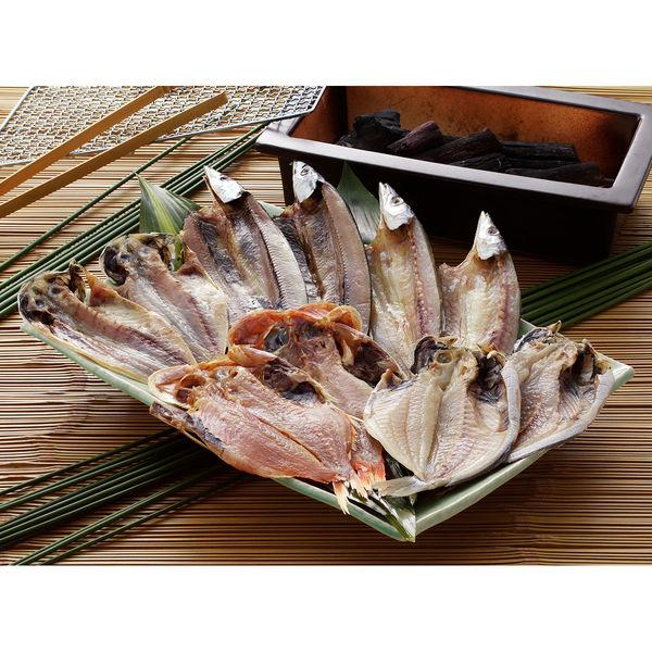 Sunny Foods 沼津「奧和」無添加魚乾 (OK-4) GO12P1171A 1 套（直送）