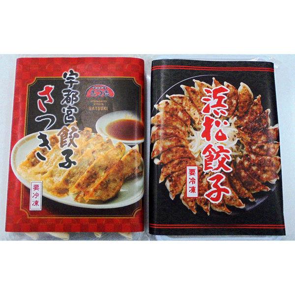 King Macadamian JAPAN特產 濱松餃子 VS 宇都宮餃子 60個 G913030 1套（直送）