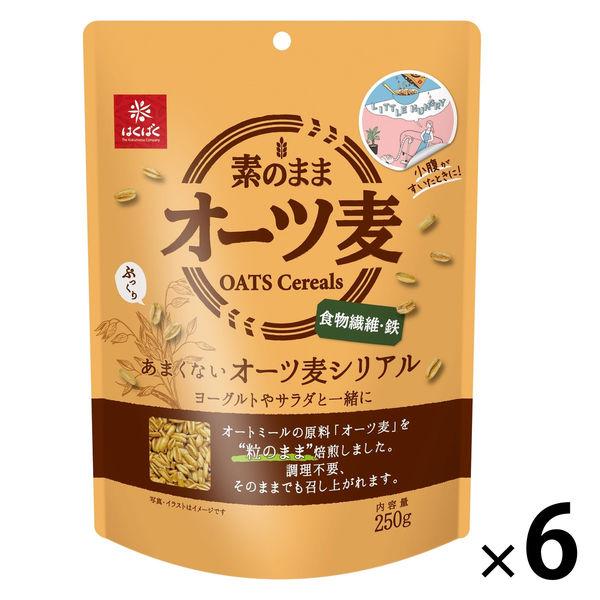 不太甜的燕麥麥片 250g 1 套 (1 片 x 6) Hakubaku