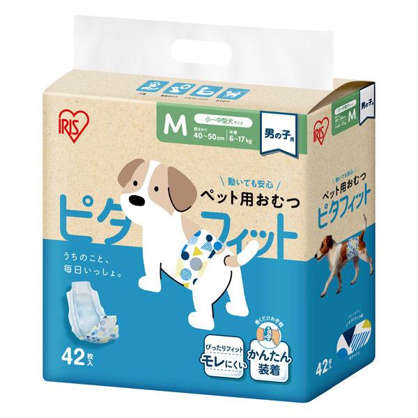 男童寵物尿布 Pitafit M 中小型犬尺寸 42 片 1 袋 Iris Ohyama