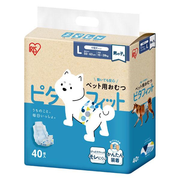 男孩寵物尿布 Pitafit L 中型狗尺寸 40 片 1 袋 Iris Ohyama