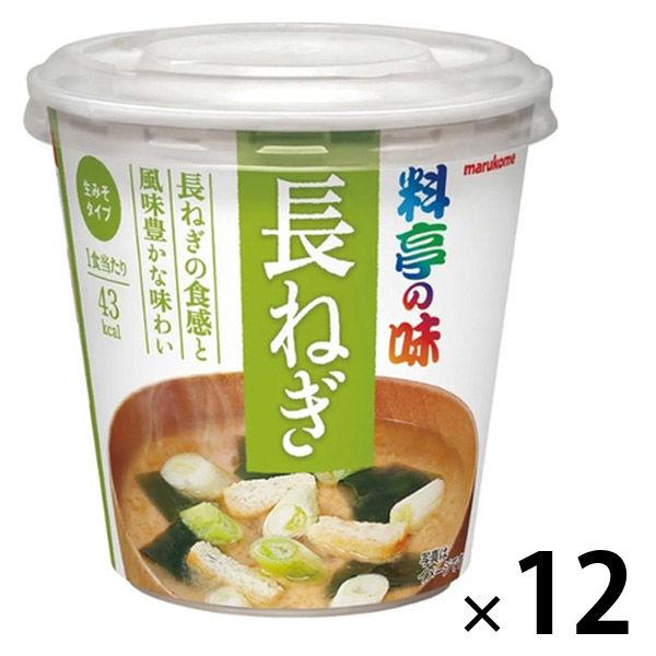 杯餐廳味道長洋蔥 1 套（1 件 x 12）丸子目