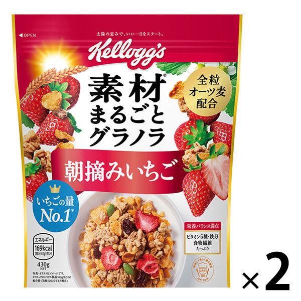 全成分格蘭諾拉麥片早上採摘的草莓 430g 1 套（1 袋 x 2）Nippon Kellogg