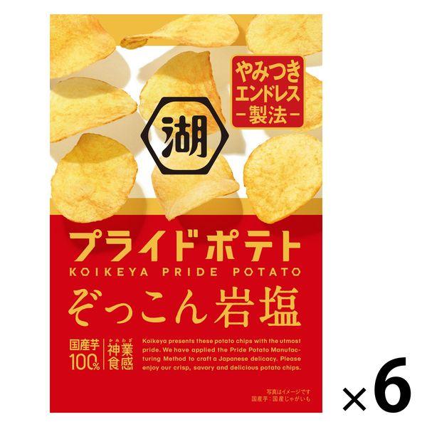 Koikeya Pride Potato Zokkon 岩鹽 6 袋 薯片 零食 零食