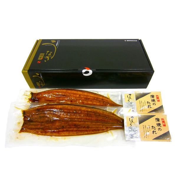 薩摩仙台鰻蒲燒鰻魚禮品組 2 條 vege212 1 箱（直送）