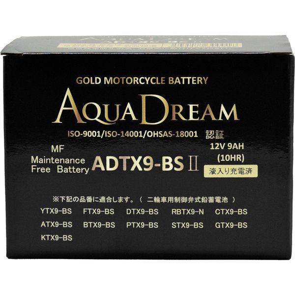 水之夢摩托車電池GOLD摩托車電瓶充液ADTX9-BSII 1顆（直送）